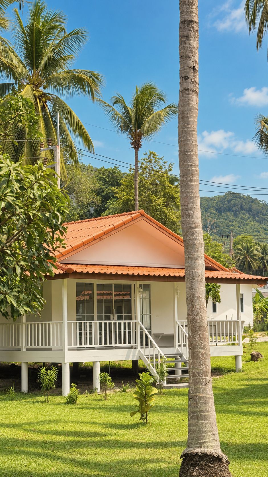 Bungalow among tall coconut palms with the hills beyond